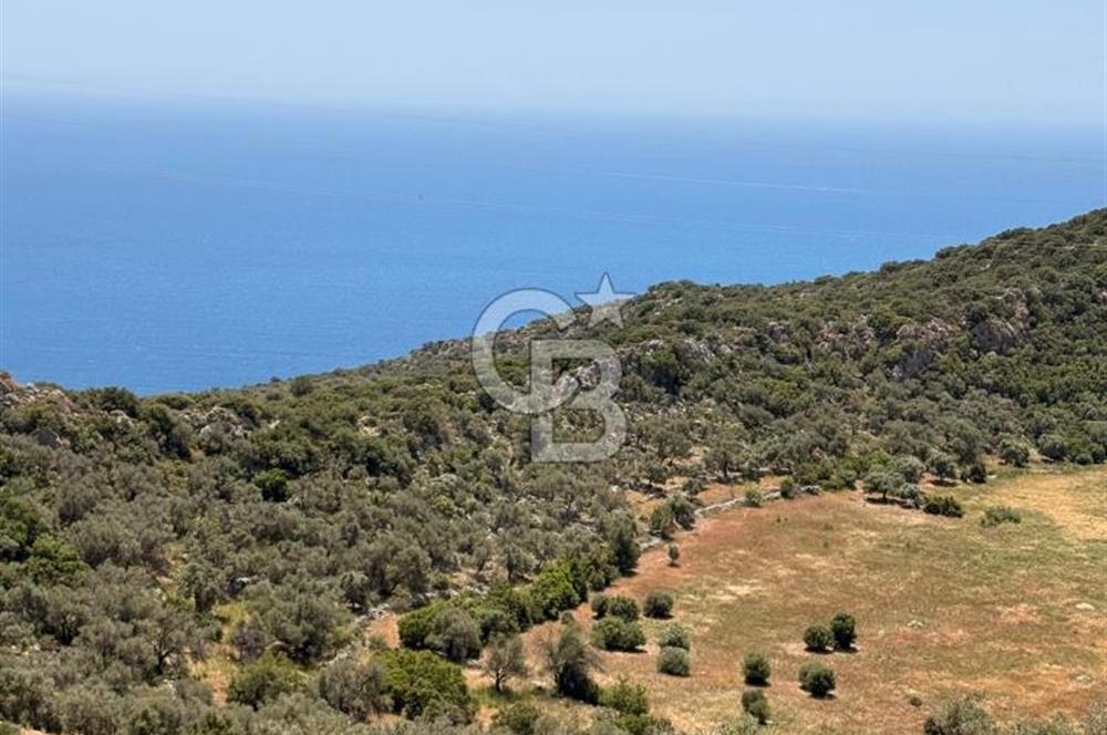 CB GİZ'DEN KALKAN BEZİRGANDA VİLLA ARAZİSİ
