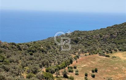 CB GİZ'DEN KALKAN BEZİRGANDA VİLLA ARAZİSİ