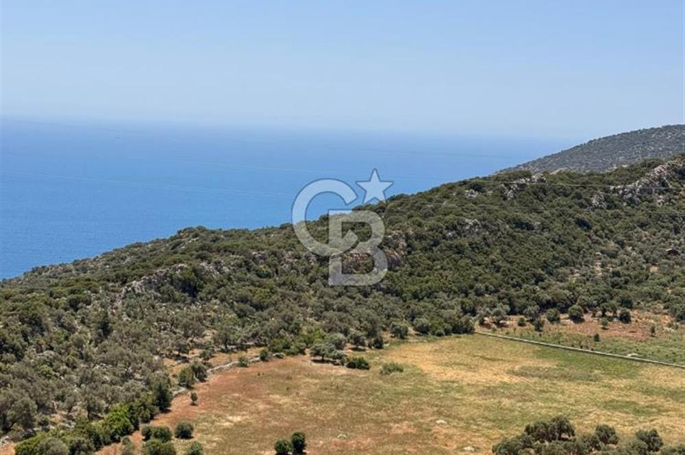 CB GİZ'DEN KALKAN BEZİRGANDA VİLLA ARAZİSİ