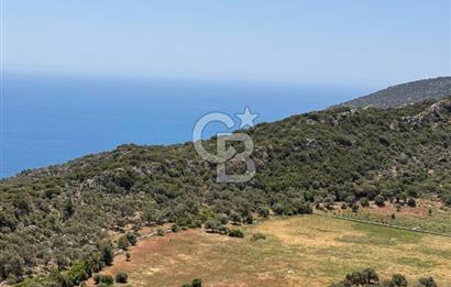 CB GİZ'DEN KALKAN BEZİRGANDA VİLLA ARAZİSİ