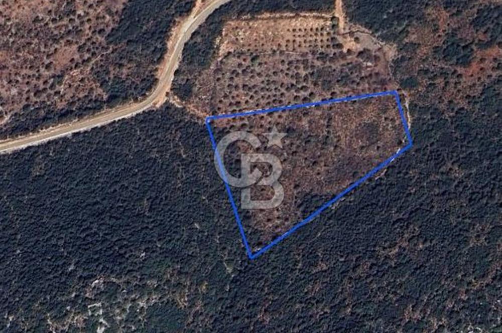 CB GİZ'DEN KAŞ SAHİL KILINÇLIDA SATILIK ARSA