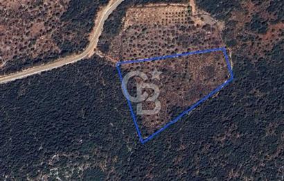 CB GİZ'DEN KAŞ SAHİL KILINÇLIDA SATILIK ARSA