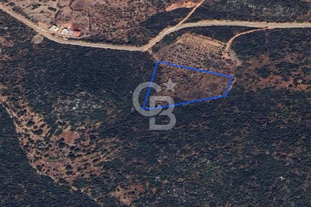 CB GİZ'DEN KAŞ SAHİL KILINÇLIDA SATILIK ARSA