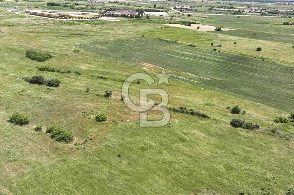 Kırklareli Merkez Satılık Ticari İmarlı 16.000 M2 Arsa