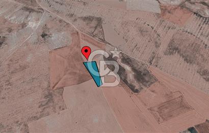 Sivrihisar Yeşilköyde 16.667 m² Satılık Tarla