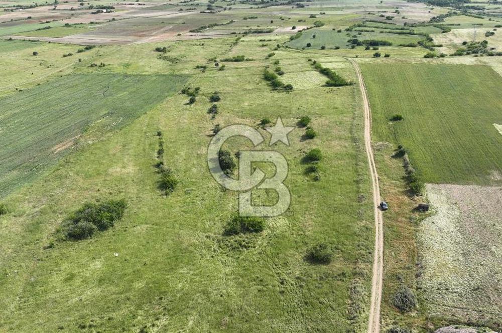 Kırklareli Merkez Satılık Ticari İmarlı 16.000 M2 Arsa