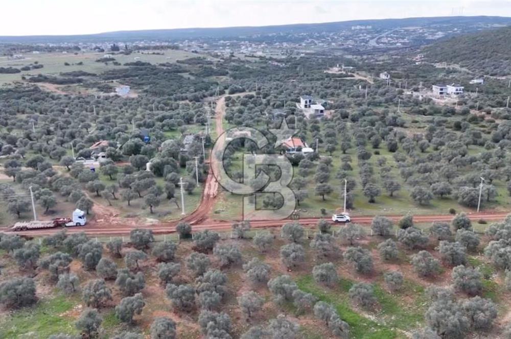 Akbük'e 7 km I Villa İmarlı Kadastral Yola Cepheli 300 m2 Arsa