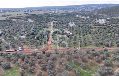Akbük'e 7 km I Villa İmarlı Kadastral Yola Cepheli 300 m2 Arsa