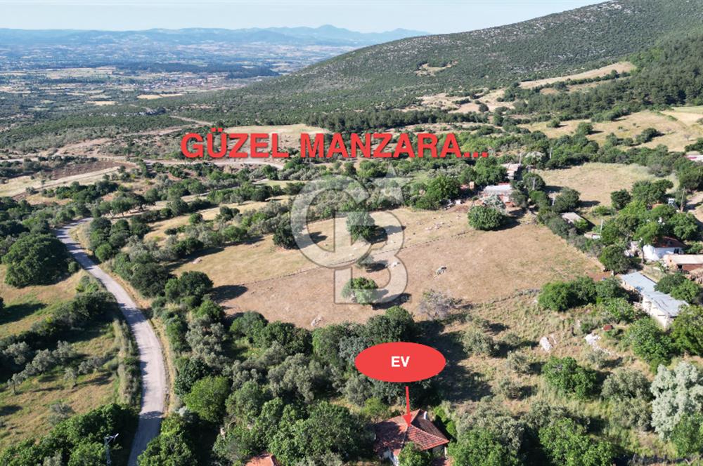 ÇANAKKALE BAYRAMİÇ AKPINAR KÖYÜNDE 667 m² İMARLI UYGUN ARSA!
