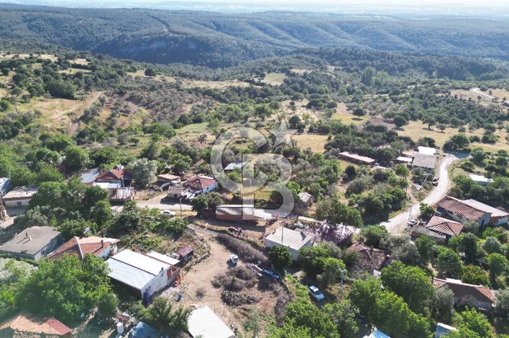 ÇANAKKALE BAYRAMİÇ AKPINAR KÖYÜNDE 667 m² İMARLI UYGUN ARSA!