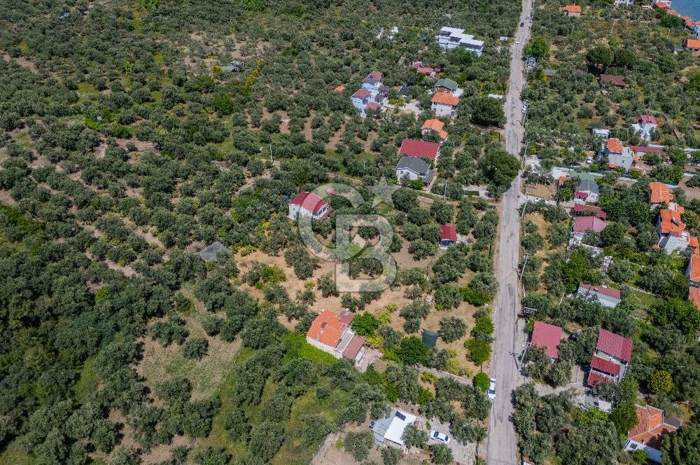 ASSOS AHMETÇE'DE DENİZE 90 m 2.698 m² BAHÇELİ ÇİFT GİRİŞLİ VİLLA