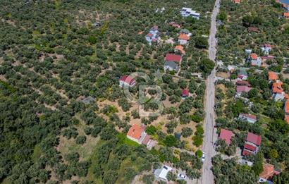 ASSOS AHMETÇE'DE DENİZE 90 m 2.698 m² BAHÇELİ ÇİFT GİRİŞLİ VİLLA