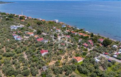 ASSOS AHMETÇE'DE DENİZE 90 m 2.698 m² BAHÇELİ ÇİFT GİRİŞLİ VİLLA