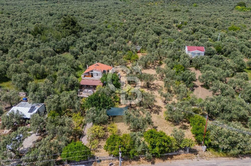 ASSOS AHMETÇE'DE DENİZE 90 m 2.698 m² BAHÇELİ ÇİFT GİRİŞLİ VİLLA