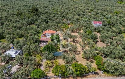 ASSOS AHMETÇE'DE DENİZE 90 m 2.698 m² BAHÇELİ ÇİFT GİRİŞLİ VİLLA