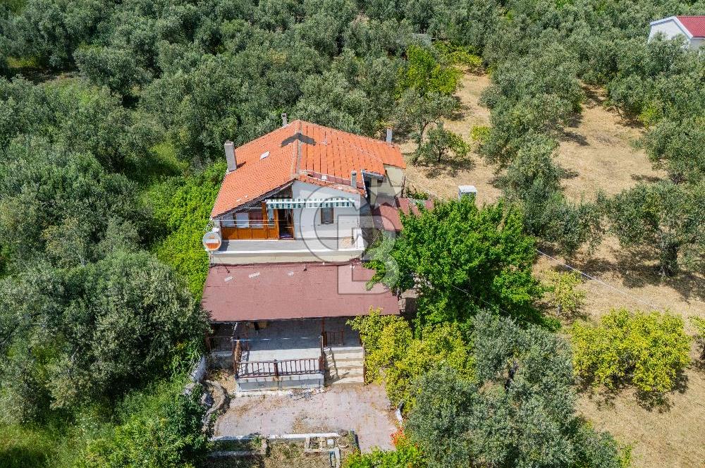 ASSOS AHMETÇE'DE DENİZE 90 m 2.698 m² BAHÇELİ ÇİFT GİRİŞLİ VİLLA