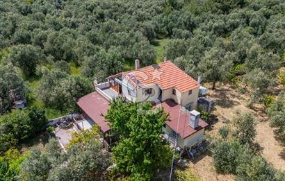 ASSOS AHMETÇE'DE DENİZE 90 m 2.698 m² BAHÇELİ ÇİFT GİRİŞLİ VİLLA