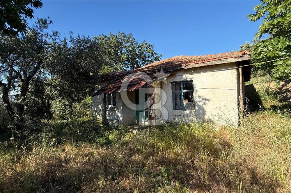 ÇANAKKALE BAYRAMİÇ AKPINAR KÖYÜNDE 667 m² İMARLI UYGUN ARSA!