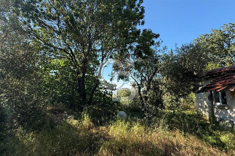 ÇANAKKALE BAYRAMİÇ AKPINAR KÖYÜNDE 667 m² İMARLI UYGUN ARSA!