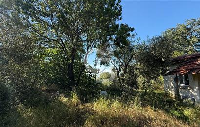 ÇANAKKALE BAYRAMİÇ AKPINAR KÖYÜNDE 667 m² İMARLI UYGUN ARSA!