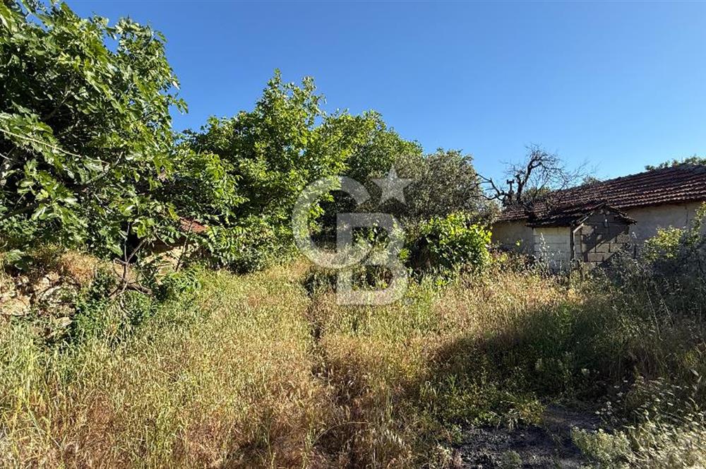 ÇANAKKALE BAYRAMİÇ AKPINAR KÖYÜNDE 667 m² İMARLI UYGUN ARSA!