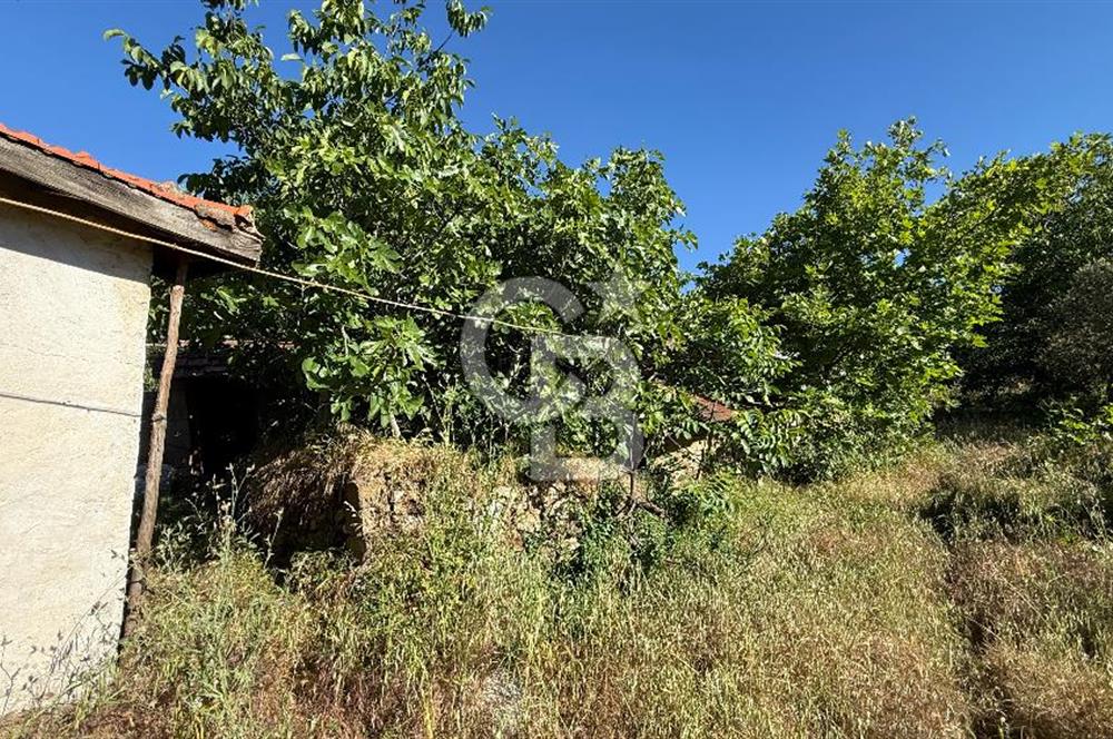 ÇANAKKALE BAYRAMİÇ AKPINAR KÖYÜNDE 667 m² İMARLI UYGUN ARSA!