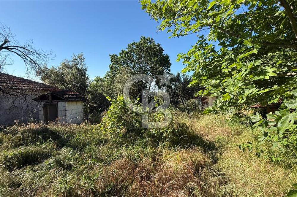ÇANAKKALE BAYRAMİÇ AKPINAR KÖYÜNDE 667 m² İMARLI UYGUN ARSA!