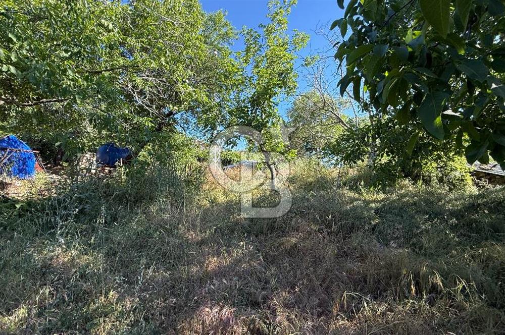 ÇANAKKALE BAYRAMİÇ AKPINAR KÖYÜNDE 667 m² İMARLI UYGUN ARSA!
