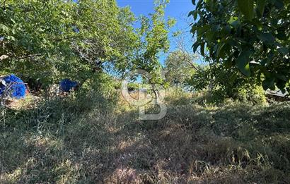 ÇANAKKALE BAYRAMİÇ AKPINAR KÖYÜNDE 667 m² İMARLI UYGUN ARSA!
