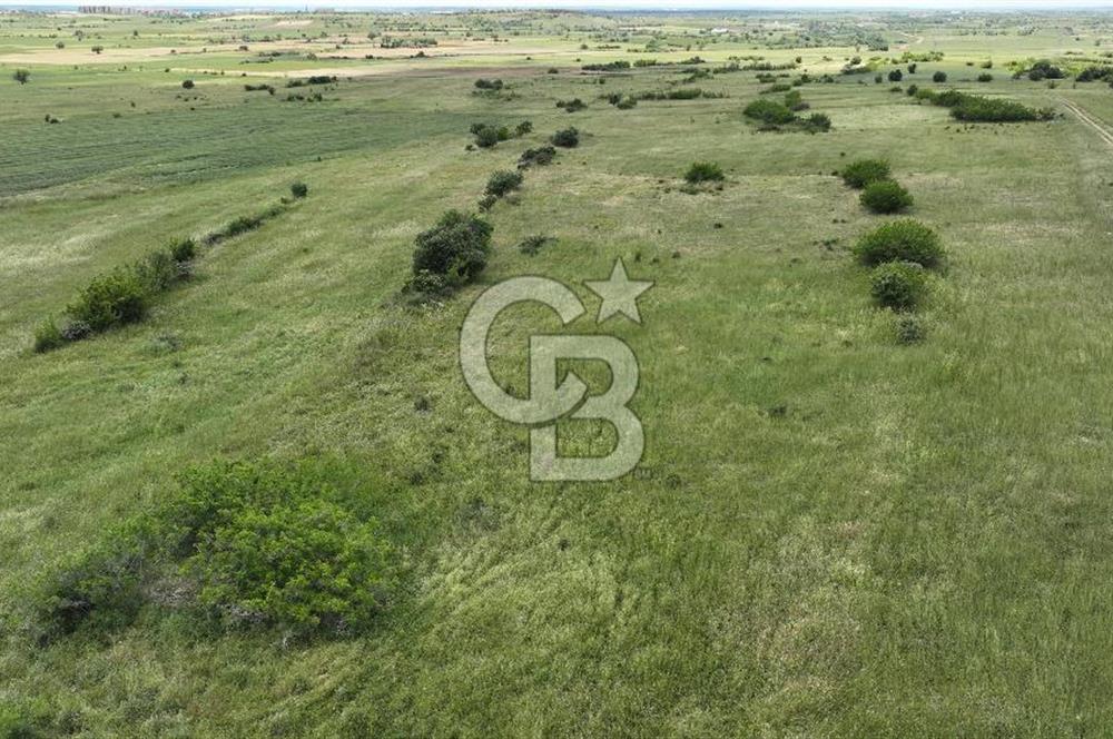 Kırklareli Merkez Satılık Ticari İmarlı 16.000 M2 Arsa