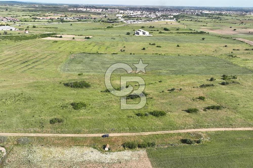 Kırklareli Merkez Satılık Ticari İmarlı 16.000 M2 Arsa