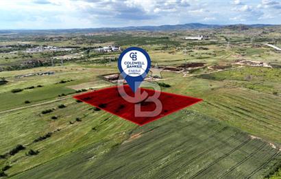 Kırklareli Merkez Satılık Ticari İmarlı 16.000 M2 Arsa