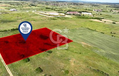 Kırklareli Merkez Satılık Ticari İmarlı 16.000 M2 Arsa