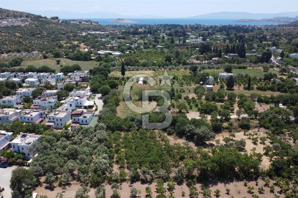 ORTAKENT MERKEZDE KİRALIK 5 DÖNÜM TARLA
