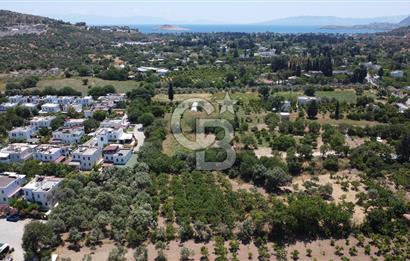 ORTAKENT MERKEZDE KİRALIK 5 DÖNÜM TARLA