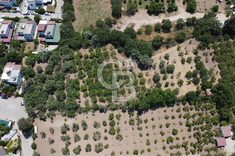 ORTAKENT MERKEZDE KİRALIK 5 DÖNÜM TARLA
