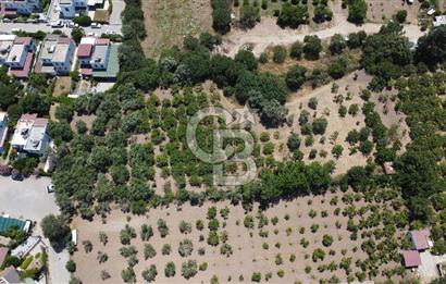 ORTAKENT MERKEZDE KİRALIK 5 DÖNÜM TARLA