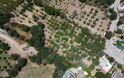 ORTAKENT MERKEZDE KİRALIK 5 DÖNÜM TARLA