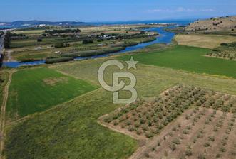 YALI MAHALLESİ ADACIK MEVKİNDE 7358m2 TEK TAPU YOLA CEPHE - 2 - 350835