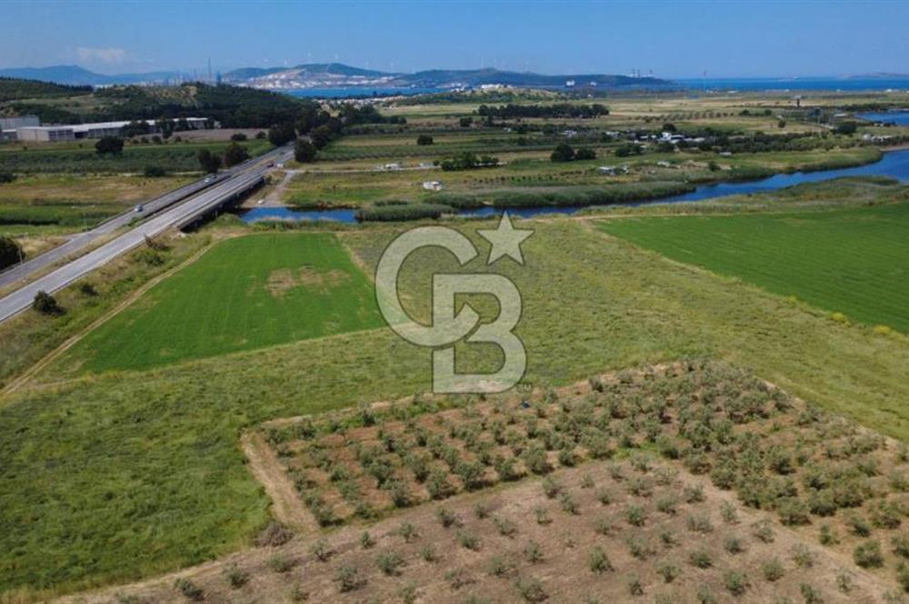 YALI MAHALLESİ ADACIK MEVKİNDE 7358m2 TEK TAPU YOLA CEPHE