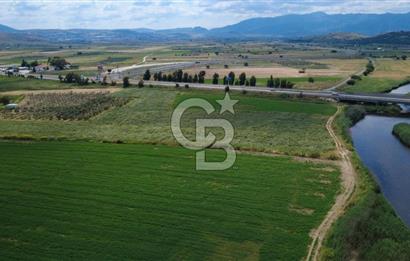 YALI MAHALLESİ ADACIK MEVKİNDE 7358m2 TEK TAPU YOLA CEPHE