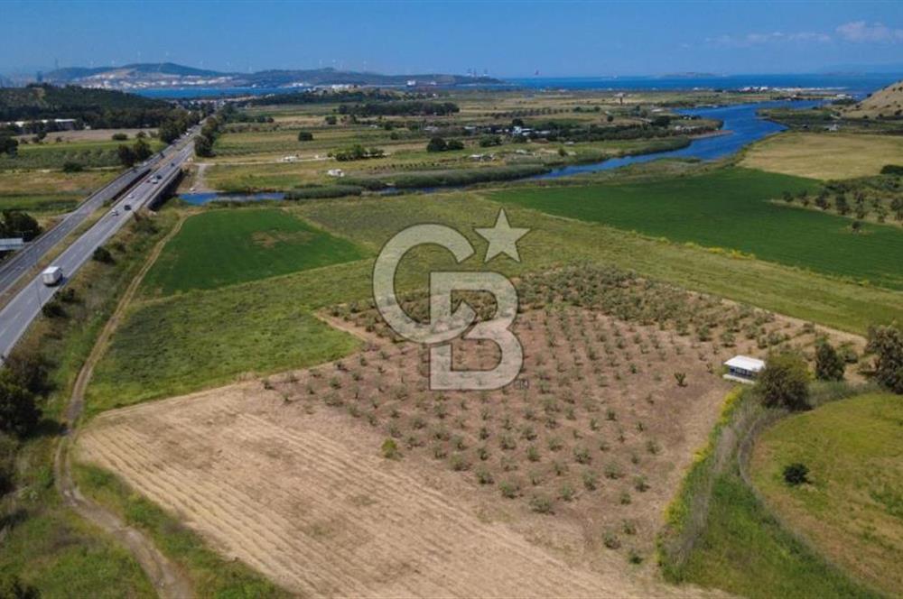 YALI MAHALLESİ ADACIK MEVKİNDE 7358m2 TEK TAPU YOLA CEPHE