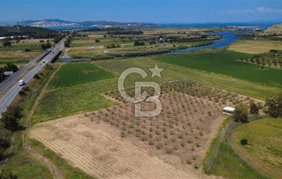YALI MAHALLESİ ADACIK MEVKİNDE 7358m2 TEK TAPU YOLA CEPHE