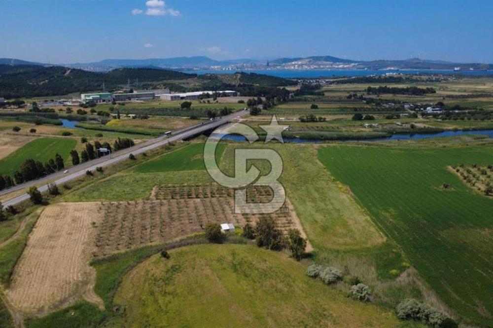 YALI MAHALLESİ ADACIK MEVKİNDE 7358m2 TEK TAPU YOLA CEPHE