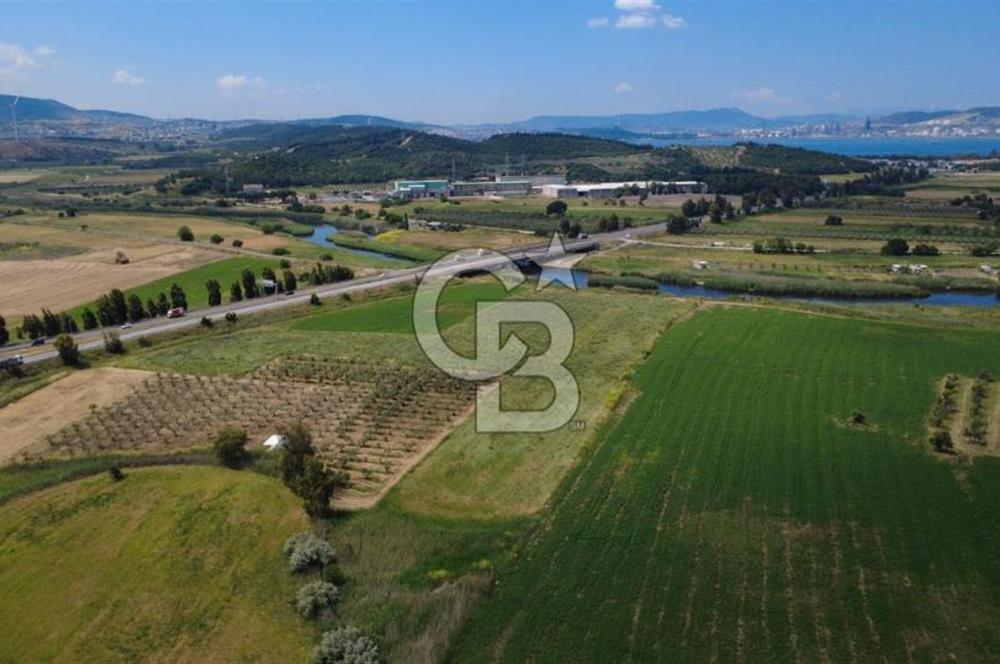 YALI MAHALLESİ ADACIK MEVKİNDE 7358m2 TEK TAPU YOLA CEPHE