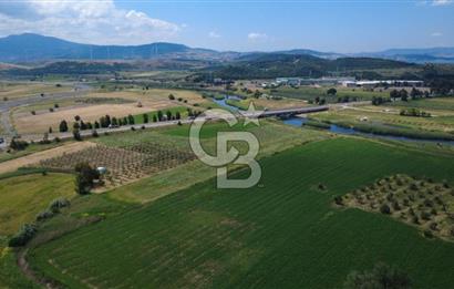 YALI MAHALLESİ ADACIK MEVKİNDE 7358m2 TEK TAPU YOLA CEPHE
