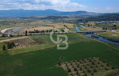 YALI MAHALLESİ ADACIK MEVKİNDE 7358m2 TEK TAPU YOLA CEPHE