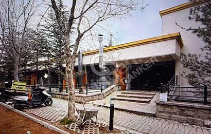 BİLKENT UFUK ÇARŞISINDA DEVREN KİRALIK PİDECİ