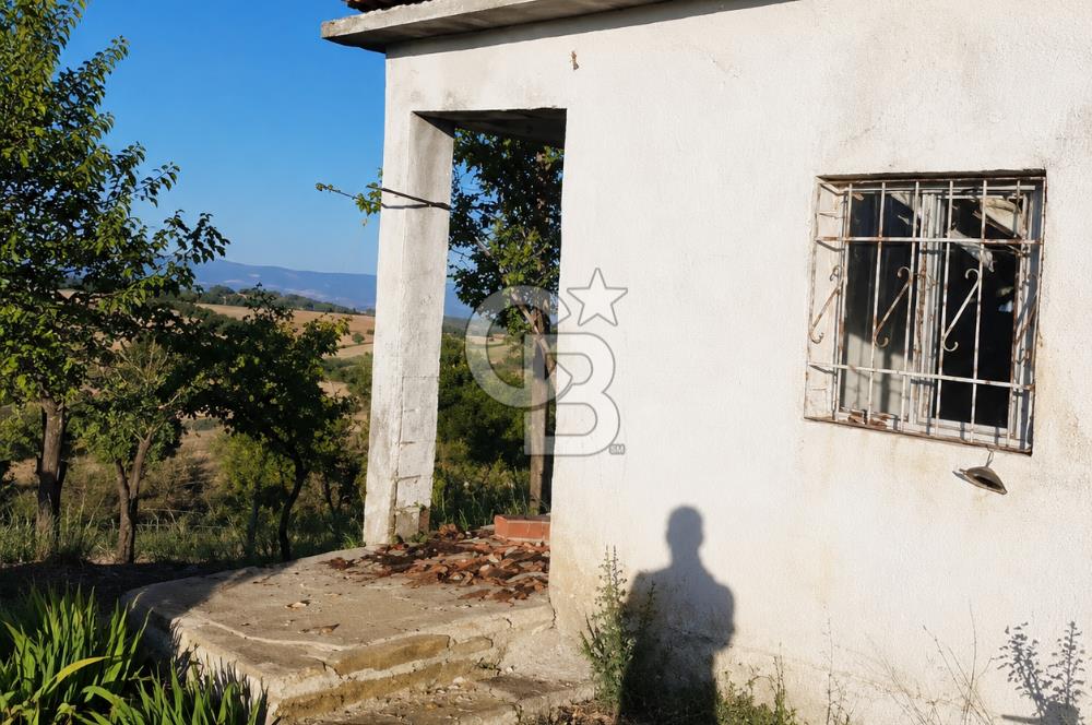 Manisa Sarıgöl 895M2 Bedava Satılık Müstakil Ev ve Arsa