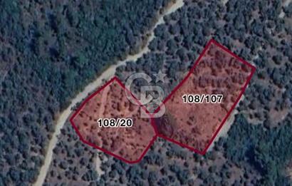İzmir Bayındır Yola Cepheli 1697m2 Tek Tapu Satılık Zeytinlik